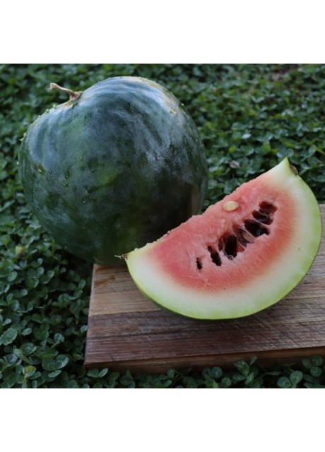 Black Diamond Watermelon