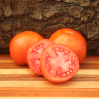 Fireworks Tomato