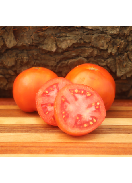 Fireworks Tomato