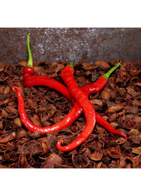 Hangjiao No. 4 Comets Tail