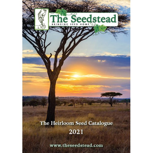 The Seedstead 2021 eCatalogue