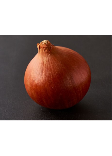 Australian Brown Onion
