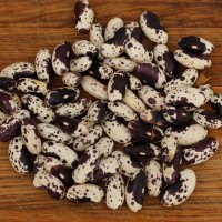 Black Troot Beans 