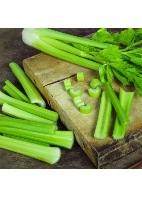 Giant Pascal Celery