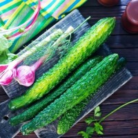 Chinese Snake Cucumber