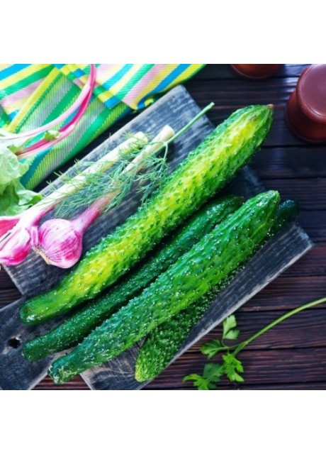 Chinese Snake Cucumber