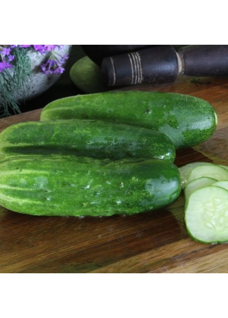 Double Yield Cucumber