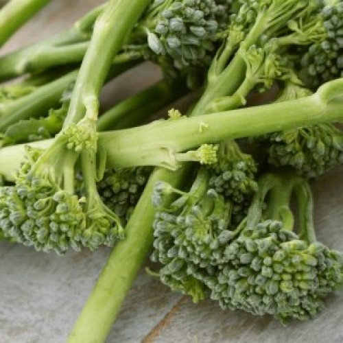 Green Sprouting Broccoli