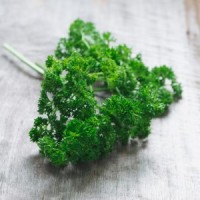 Moss Triple Curled Parsley