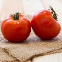 Thessaloniki Tomato