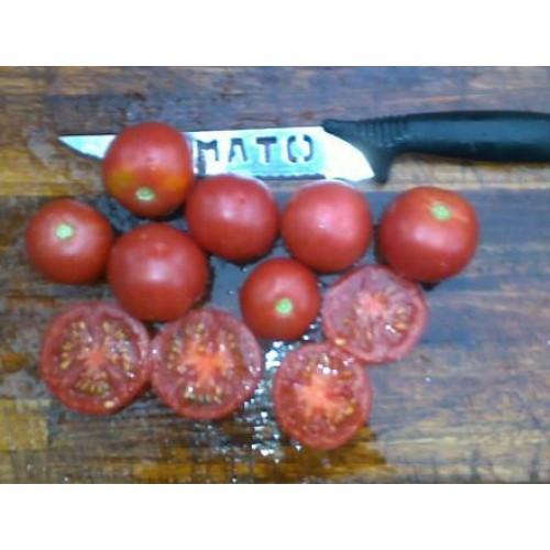 Tomata Trumfera Balaguer